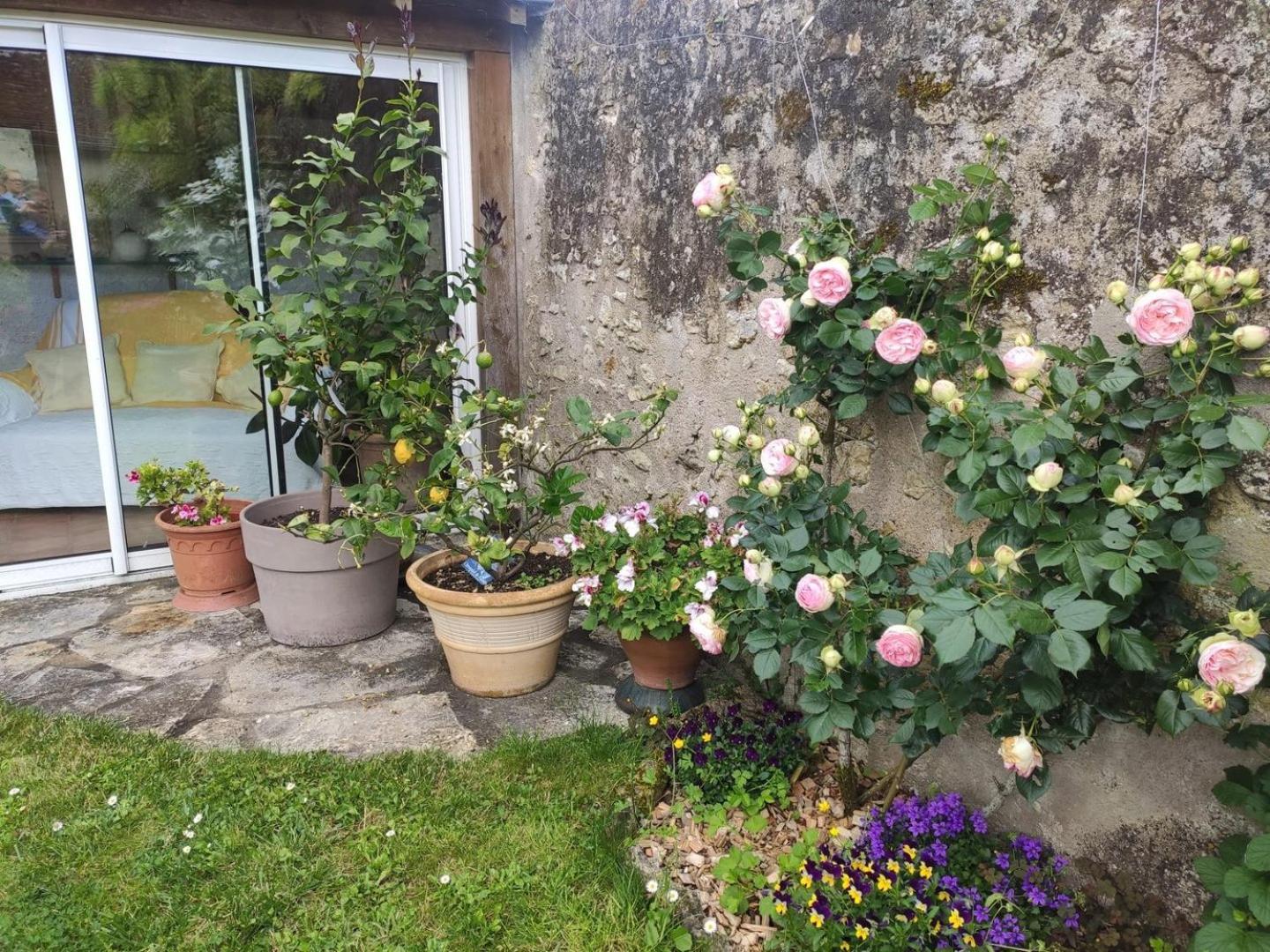 Le Relais De L'Ormeau - Charmant Gite Pour 4 Pers. Lussault-sur-Loire Luaran gambar